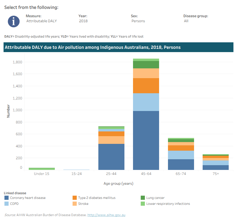 This interactive data visualisation shows the amount of burden attributable to air pollution among Indigenous Australians by age group and linked disease. The main section shows a stacked bar graph which can be customised to report data according to year, sex, disease group and measure of attributable burden. Each bar represents the attributable burden within a particular age group. Each bar is also split into separate components with each colour representing a disease linked to air pollution.
