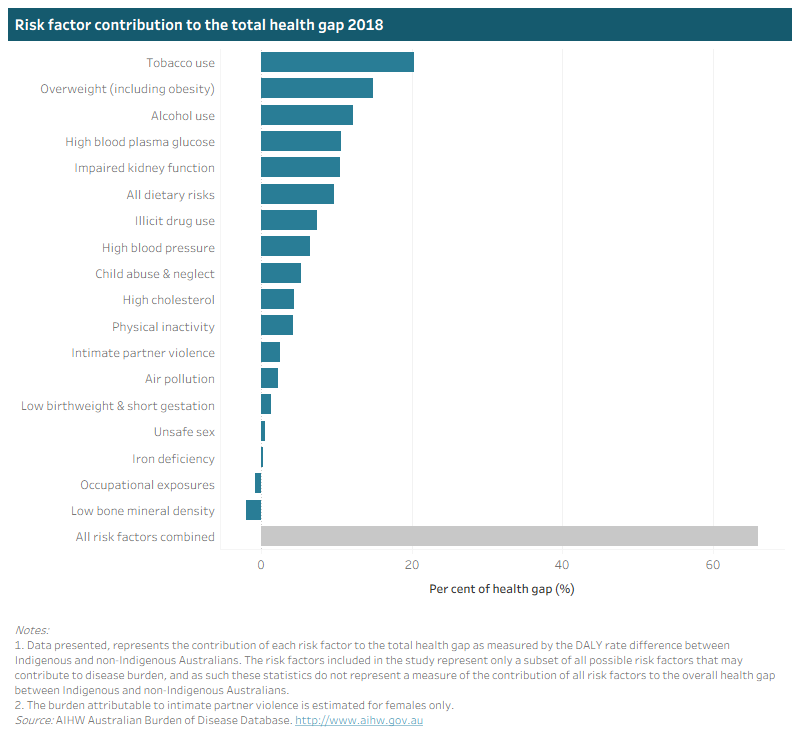 This interactive data visualisation shows a horizontal bar graph which presents the contribution of each risk factor to the total health gap between Indigenous and non-Indigenous Australiansin 2018.
