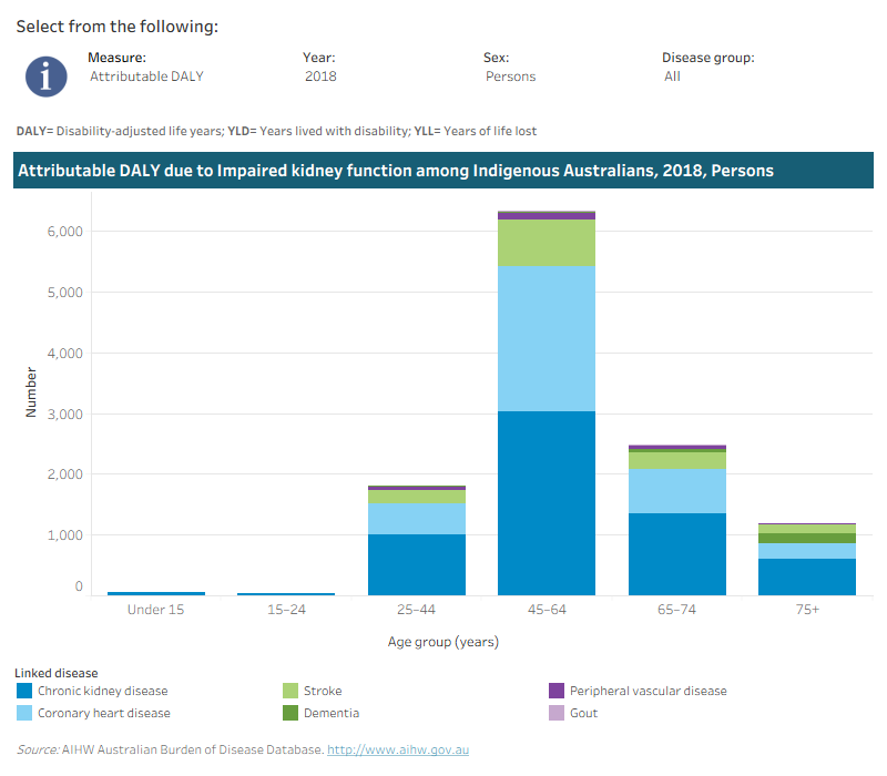 This interactive data visualisation shows the amount of burden attributable to impaired kidney function among Indigenous Australians by age group and linked disease. The main section shows a stacked bar graph which can be customised to report data according to year, sex, disease group and measure of attributable burden. Each bar represents the attributable burden within a particular age group. Each bar is also split into separate components with each colour representing a disease linked to impaired kidney function.
