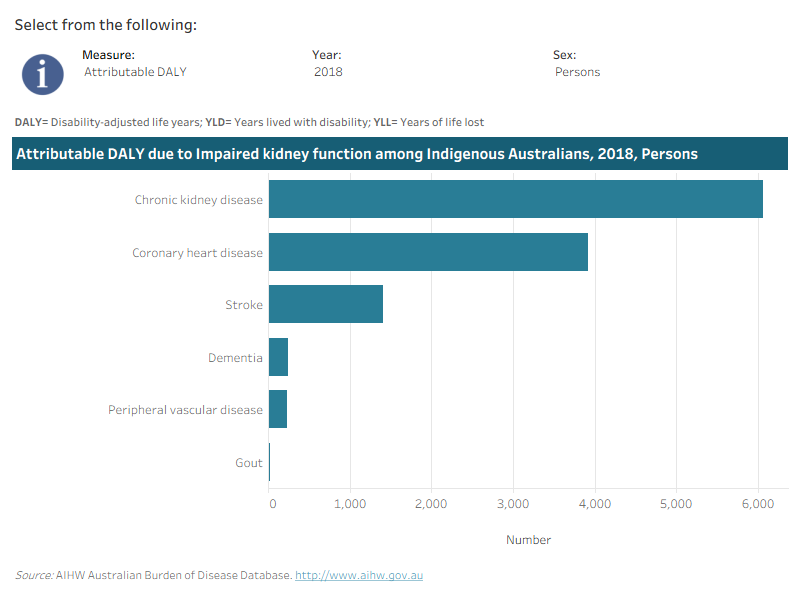 This interactive data visualisation shows the burden attributable to impaired kidney function among Indigenous Australians by linked disease. The main section shows a horizontal bar graph which can be customised to report data according to year, sex and measure of attributable burden. Each bar represents the attributable burden of the disease linked to impaired kidney function.
