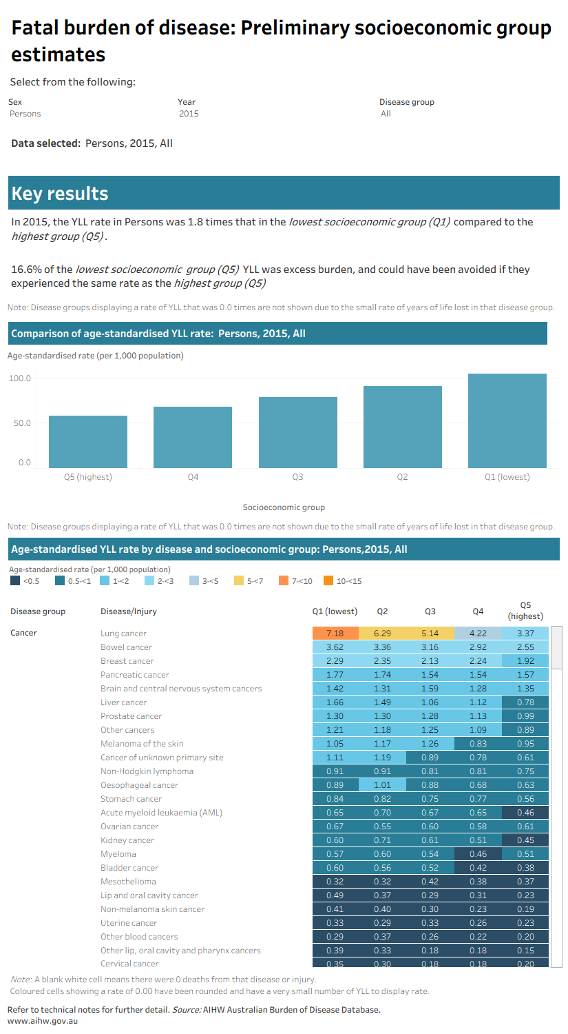 Fatal burden of disease: Preliminary socioeconomic group estimates data visualisation
