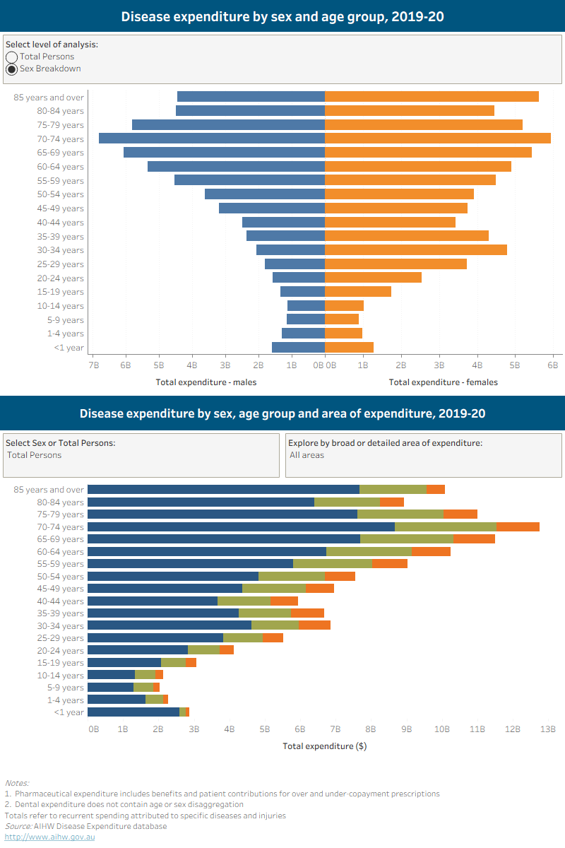 The first bar chart shows the estimated disease expenditure attributable by sex among different age groups in 2019-20.The X-axis shows total expenditure and the Y-axis shows age groups ranging from < 1 year to 85 years and over. For total persons, the highest expenditure was found in the 70-74 years old group whereas the lowest was seen in the 5-9 years old group.The second bar chart displays total disease spending by sex and age group across either broad or detailed area of expenditure.
