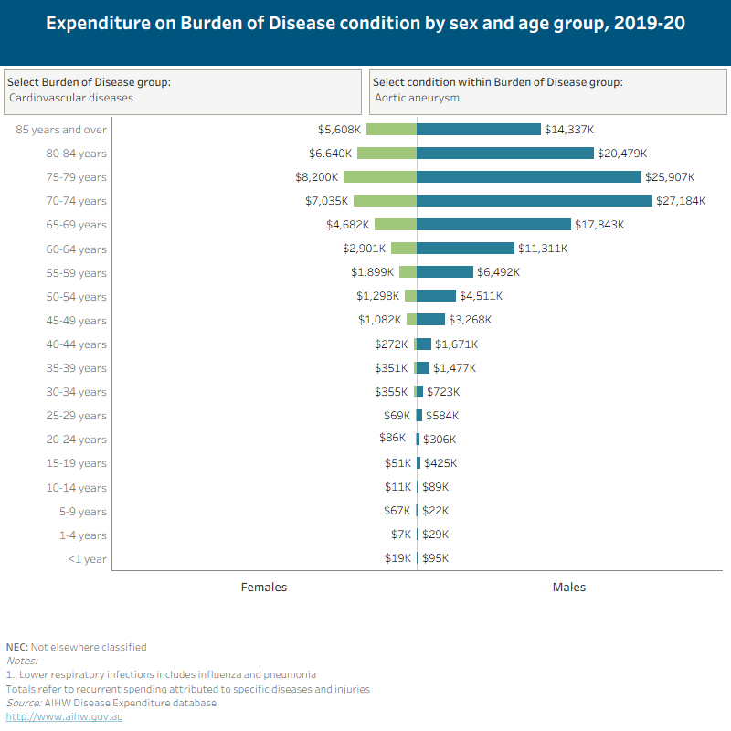 This butterfly bar chart shows spending for conditions within each Burden of Disease group by sex and age group in 2019-20. Estimated spending on osteoarthritis was close to $4 billion in 2019-20.
