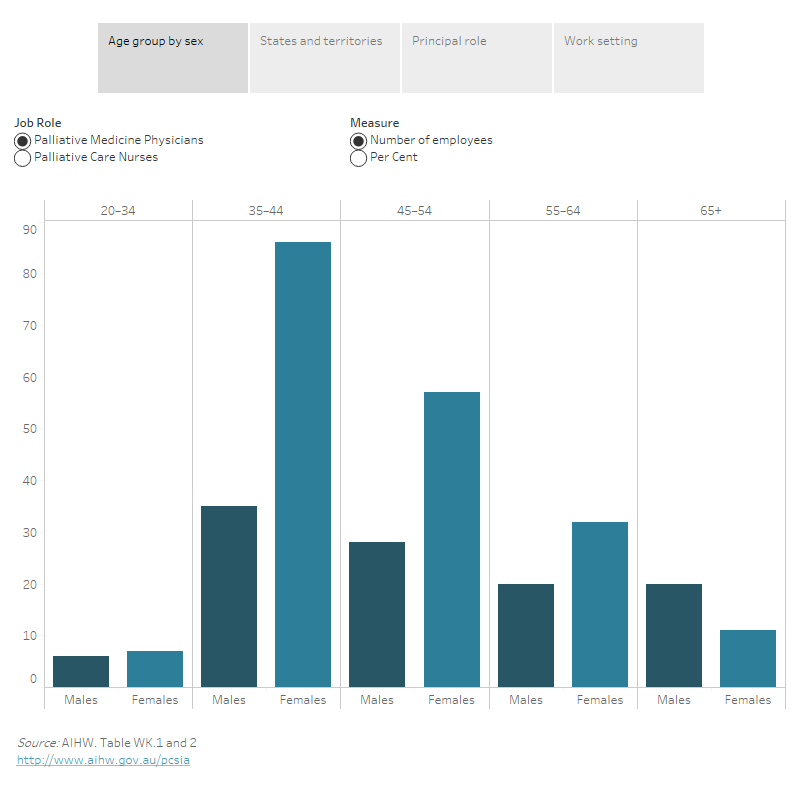 Palliative care services in Australia, Palliative care workforce