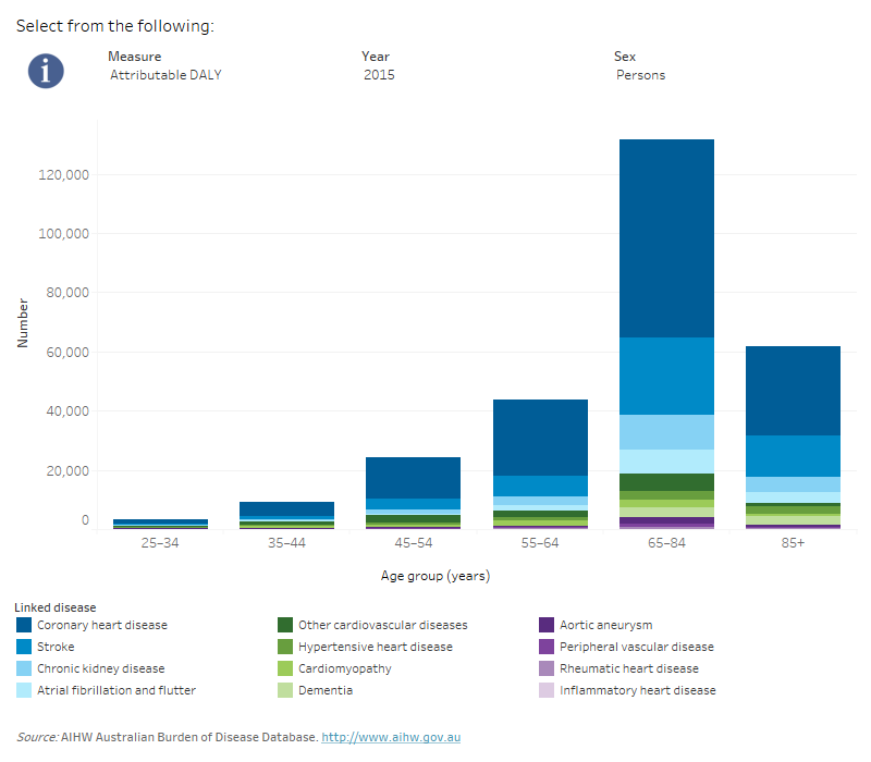 Australian Burden Of Disease Study 2015: Interactive Data On Risk ...