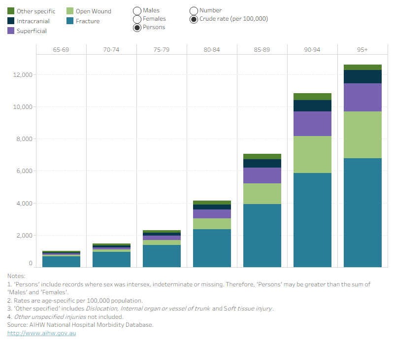 Stacked column graph showing that with increasing age groups, the rate of each injury type increased. Generally, males had higher rates and number of open wound injuries while females had higher rates and number of fracture injuries.
