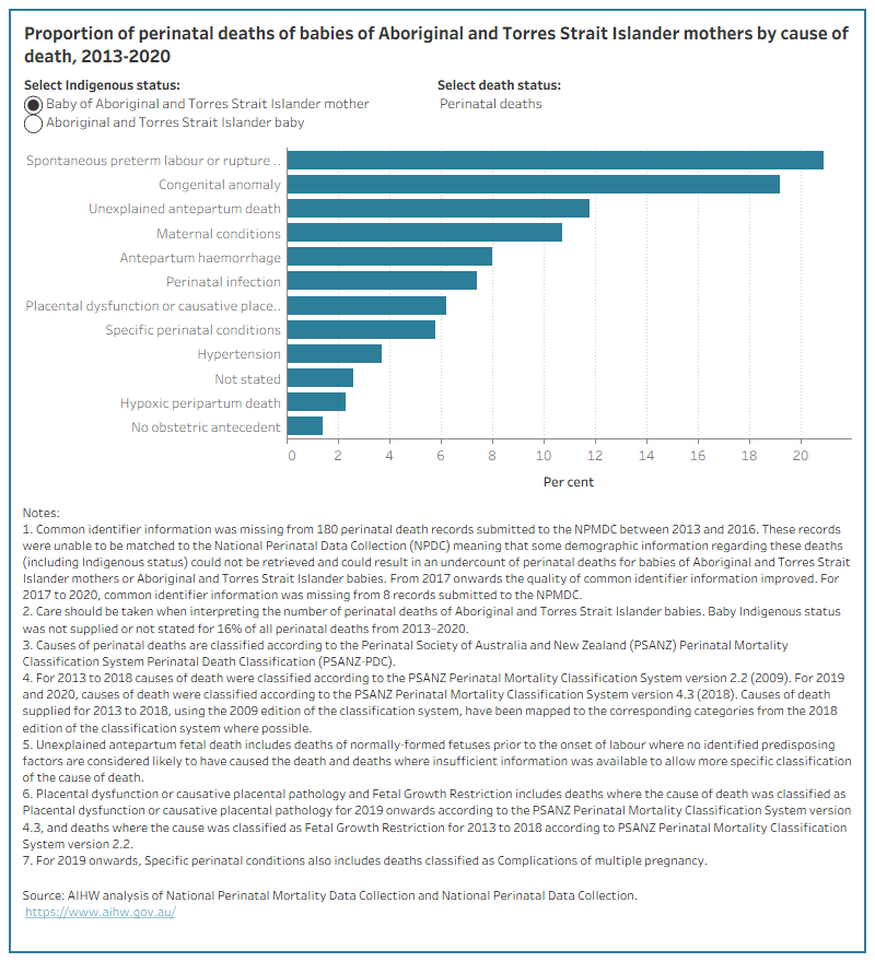 Bar chart showing the cause of perinatal death. Spontaneous preterm labour or rupture of membranes was the most common cause of perinatal death.
