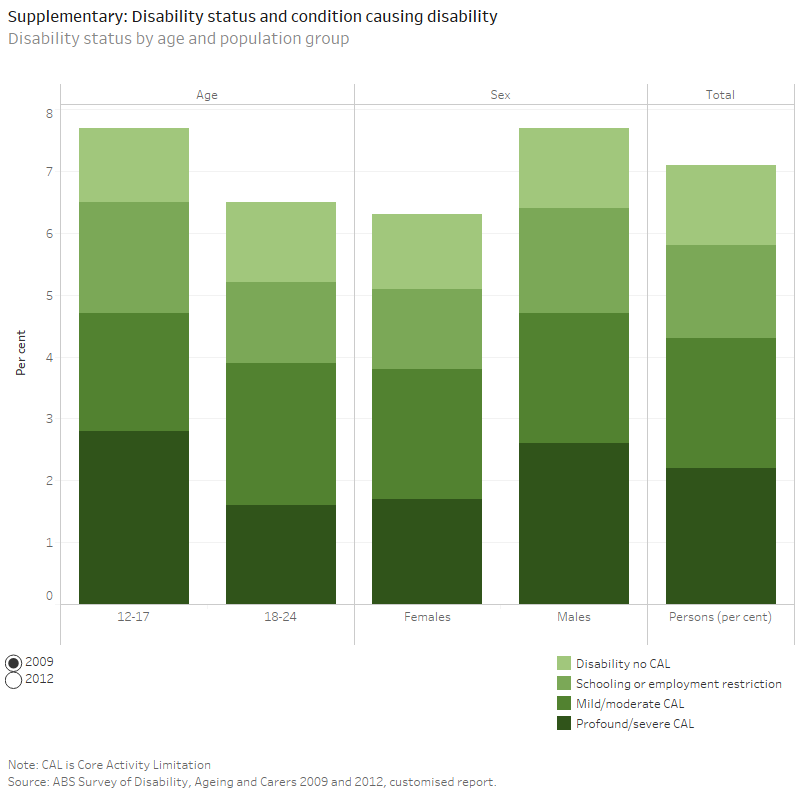 National Youth Information Framework (NYIF) indicators, Disability and