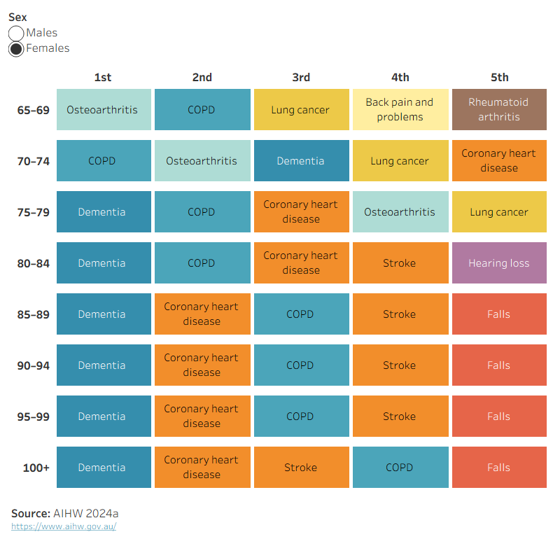 The box chart shows that dementia was the leading cause of burden for people 80 and older. For younger females, osteoarthritis and COPD are leading causes and for males type 2 diabetes and lung cancer.