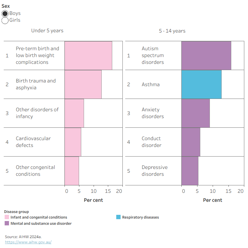 Under 5 year the leading cause of burden for boys and girls was pre-term birth and low birthweight complications. For 5–14 years, for boys was autism spectrum disorders and for girls was asthma.