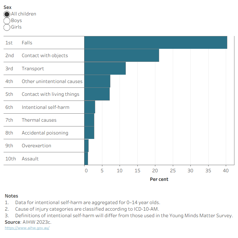The horizontal bar chart shows that falls followed by contact with objects and transport accidents were the leading causes of injury hospitalisations across all children.