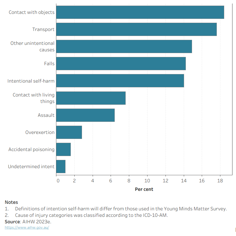 This horizontal bar chart shows that in 2021–22, contact with objects (18.4%) , transport accidents (17.6%) and other unintentional causes (14.9%) were the 3 leading causes of injury among young people aged 15–24. 