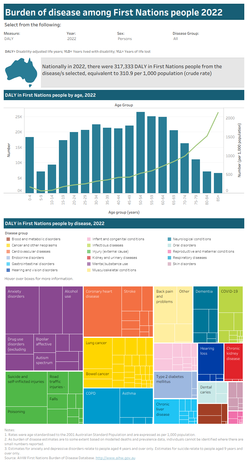 Dashboard with bar and line graph showing number and rate of burden for each age group. A tree map shows the burden for each cause. Data can be viewed for type of burden, year, sex and disease.