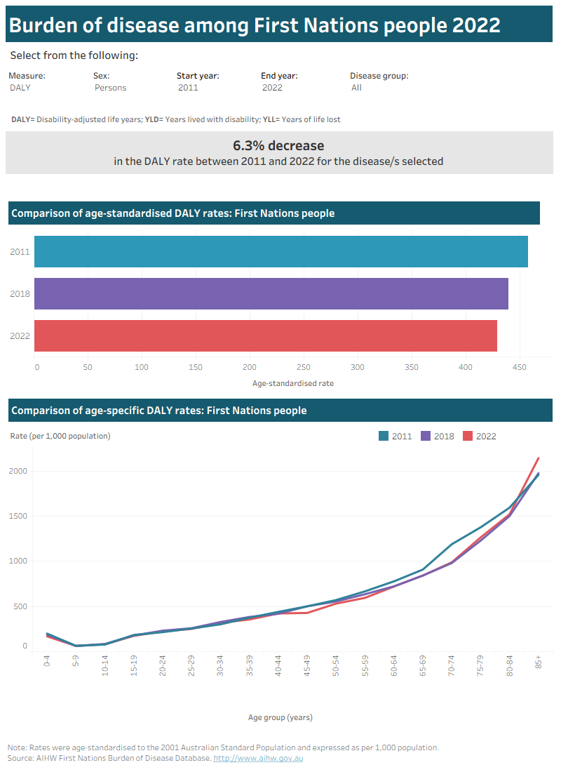 Dashboard with bar and line graph showing change in age-standardised burden rates over time, and by age group. Data can be viewed by measure, sex, start/end year, and disease group.