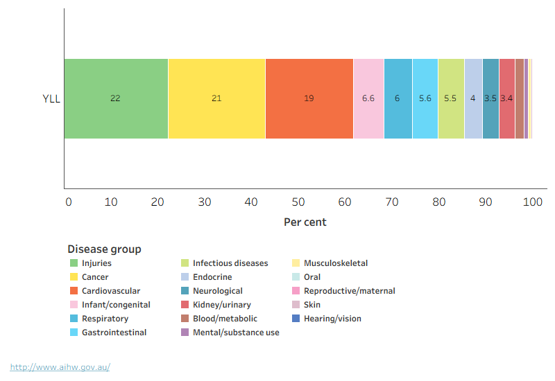 A stacked bar chart showing the disease groups and the proportion of fatal burden they contribute. Injuries, cancer, and cardiovascular contribute the most burden in that order.