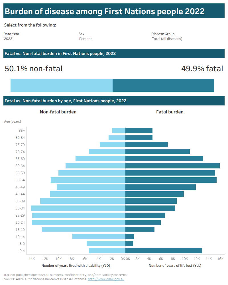 Dashboard with bar chart showing the number of YLD and YLL lost by age group. Data can be viewed by year, sex, and disease group.