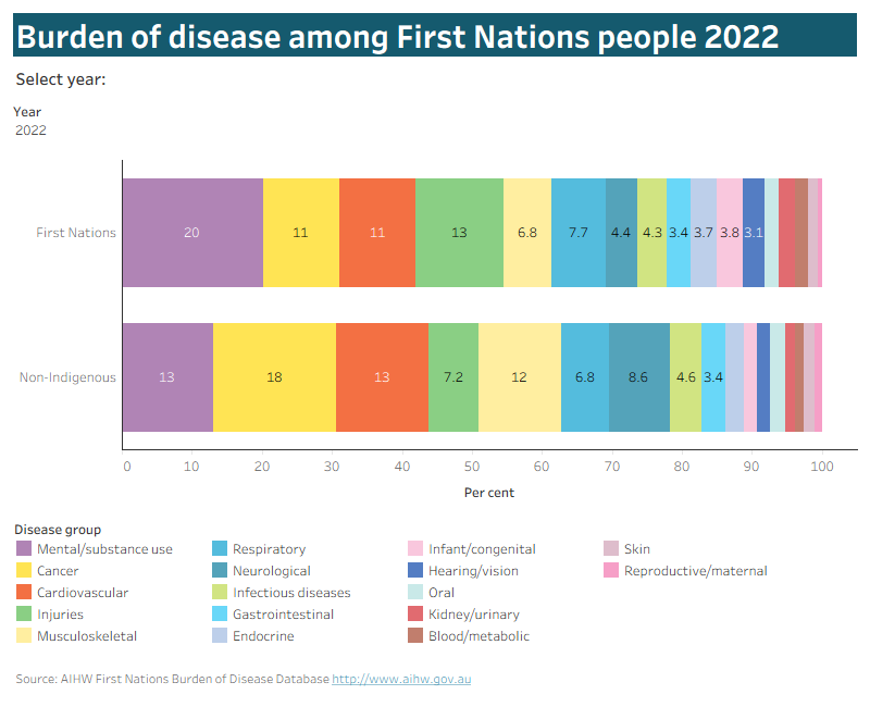 Dashboard with bar graph showing how much each disease group contributed to total burden in 2022, 2018 and 2011 for First Nations people and non-Indigenous Australians.