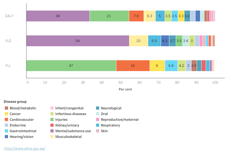 Stacked bar chart showing proportions of burden by disease group. For this age group, most YLL comes from injuries, while most YLD comes from mental health conditions and substance use disorders.