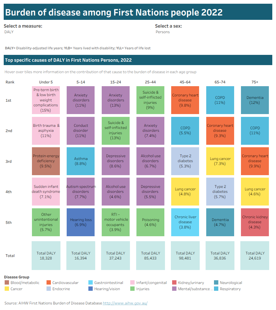 Dashboard with boxes showing the top 5 specific causes of disease burden among First Nations people by type of burden, age group and sex for 2022.