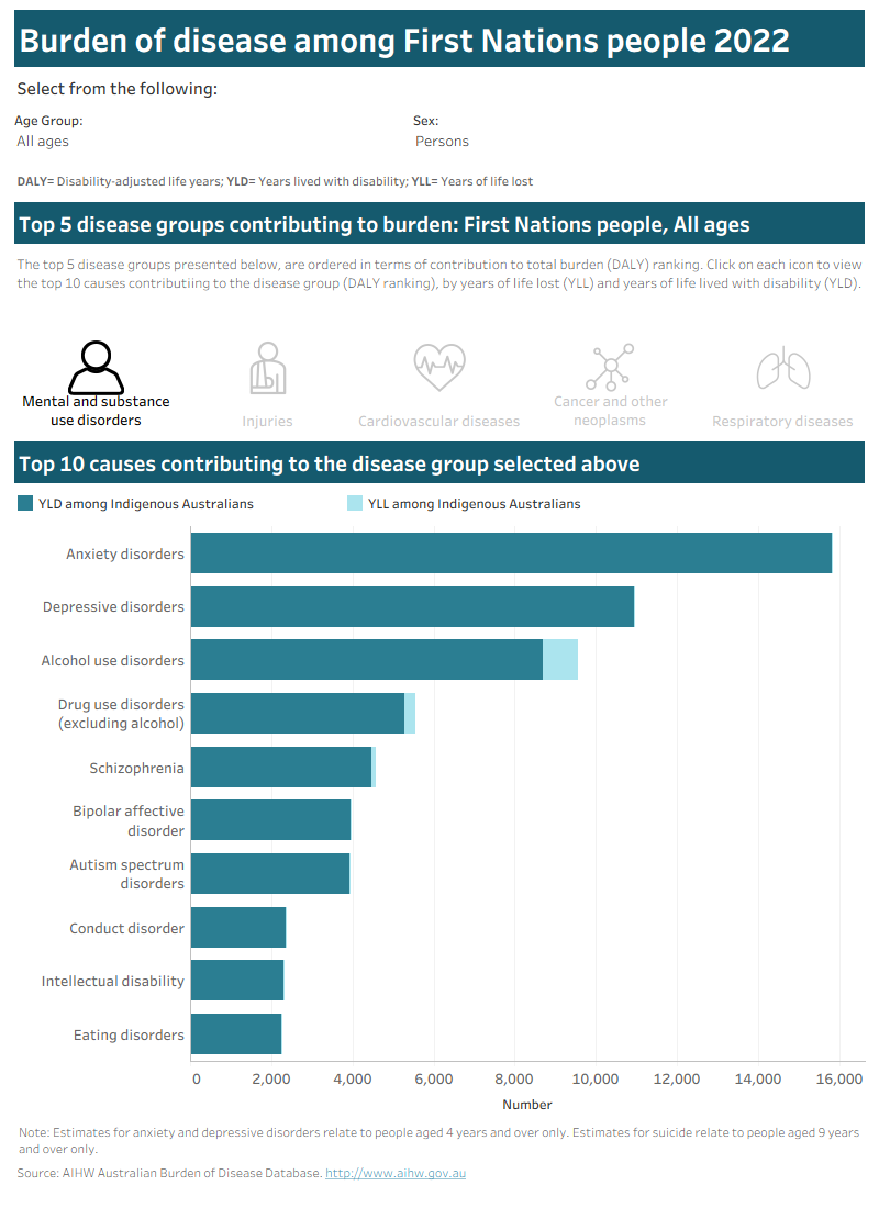 Dashboard with bar chart showing the number of YLD and YLL lost by age group and sex for the top 5 disease groups and top 10 causes.