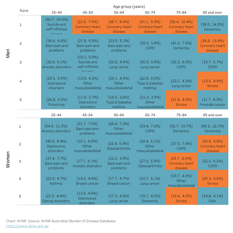 This figure shows that in 2024, the leading cause of total burden of disease was coronary heart disease for men aged 45–84.