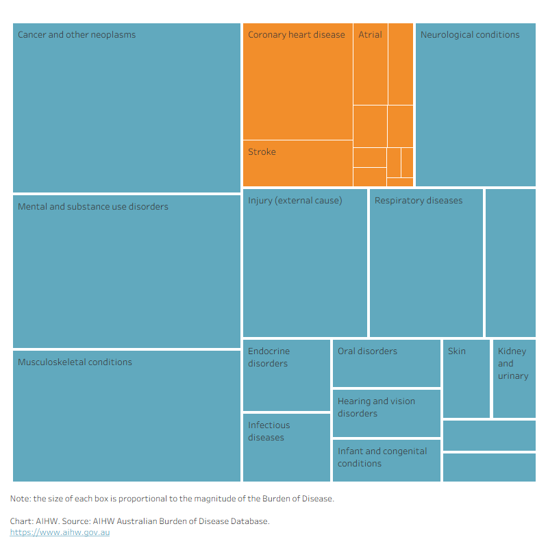 This figure shows that in 2024, around half of the total burden of cardiovascular disease was due to coronary heart disease. 