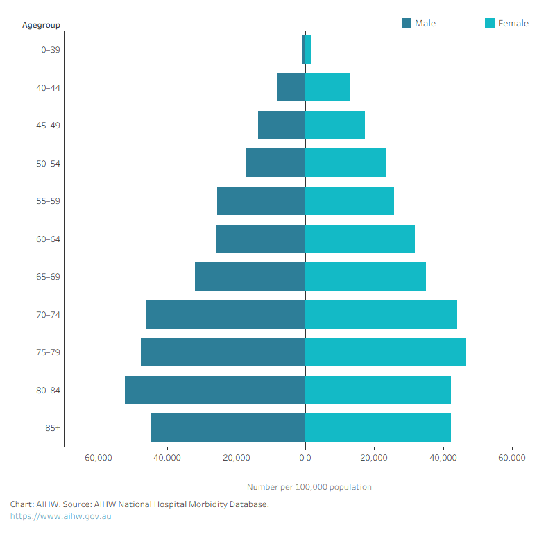 The chart shows rates increased with age for both males and females and peaked in the 75–79 age group in females and 80–84 in males.