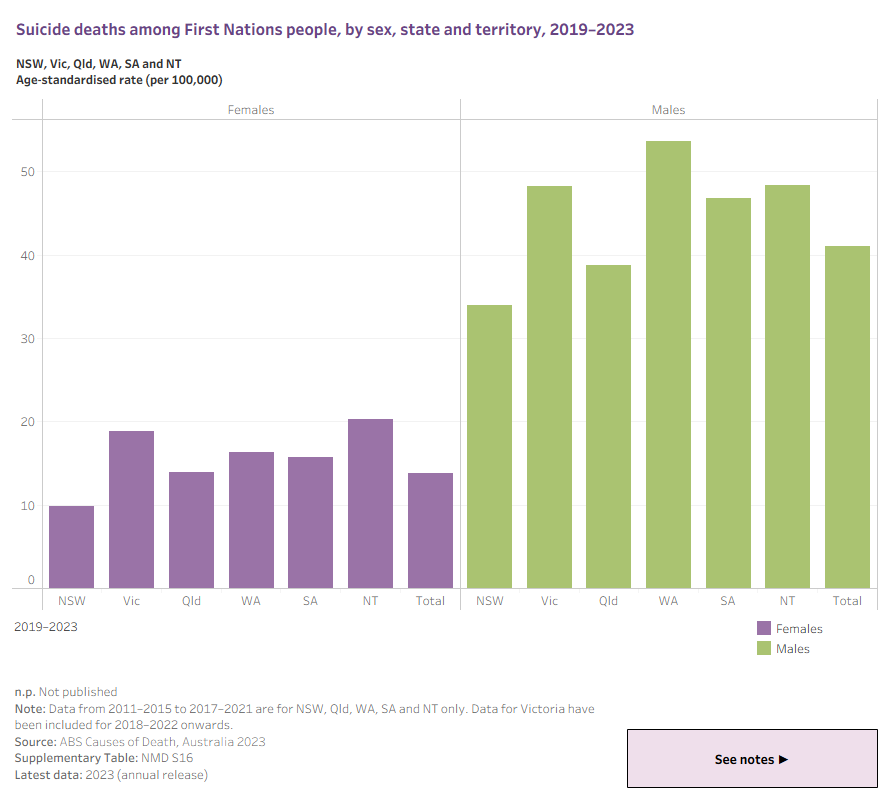 This column graph shows suicide deaths among First Nations people by sex, from 2011–2015 to 2019–2023 for selected jurisdictions. Data are presented in 5-year ranges, which can be selected.