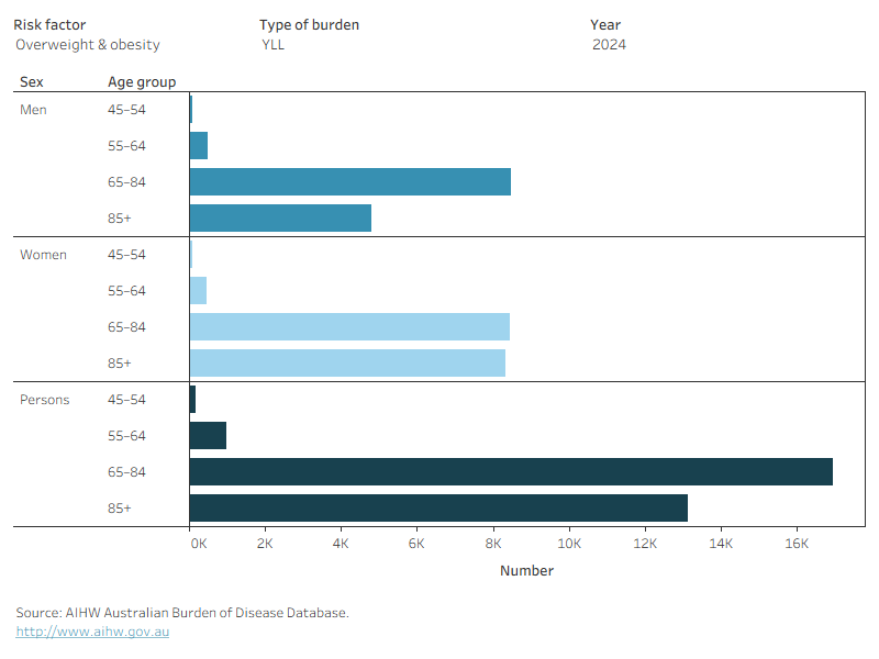 Figure 4.6. is a bar graph showing the breakdown in the type of burden (YLL, YLD or DALY) by age, sex and year (2011, 2015 or 2018) for each dementia risk factor. The trends are described in the text.