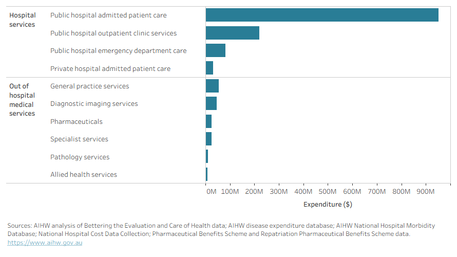 Bar graph showing Australian Government health-care system expenditure attributable to dementia in2022–23, by health-care area. The graph shows that most of the expenditure was on public hospital admitted patient care and public hospital outpatient clinic services. This was followed by spending on public hospital emergency department care, private hospital admitted patient care, general practice services, diagnostic imaging services and pharmaceuticals.