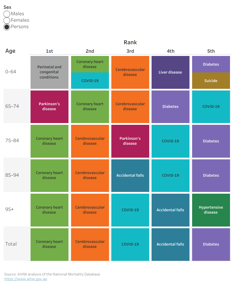 This figure shows the top 5 underlying causes of death in Australia by age and sex in 2023, when dementia was an associated cause of death. 