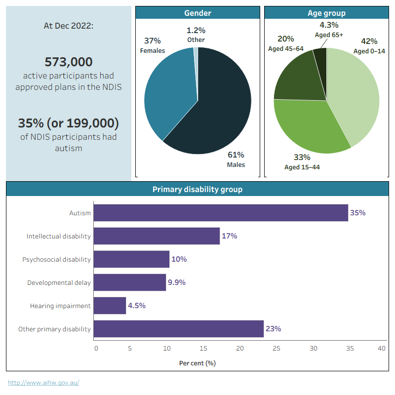 Specialised supports for people with disability - Australian Institute ...
