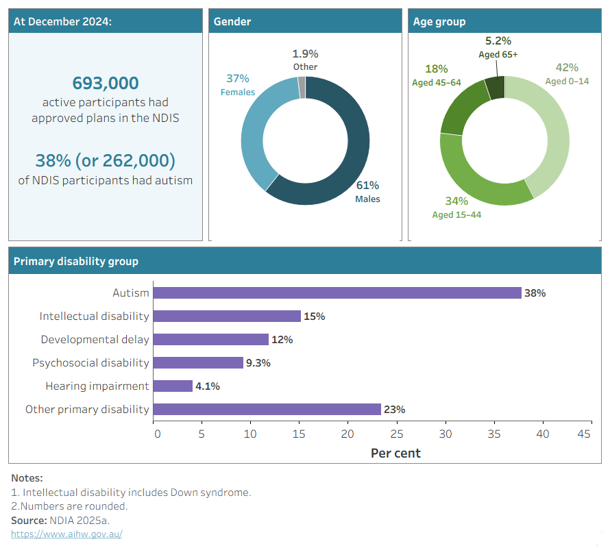 The figure shows selected facts about NDIS participants, including the total number (693,000 active participants at December 2024), age and sex distribution, and primary disability type. 