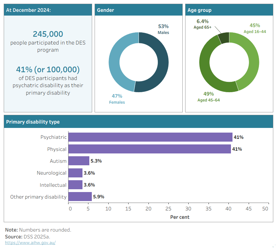 The figure shows selected facts about DES participants, including the total number (around 245,000 in December 2024), age and sex distribution, and primary disability type. 