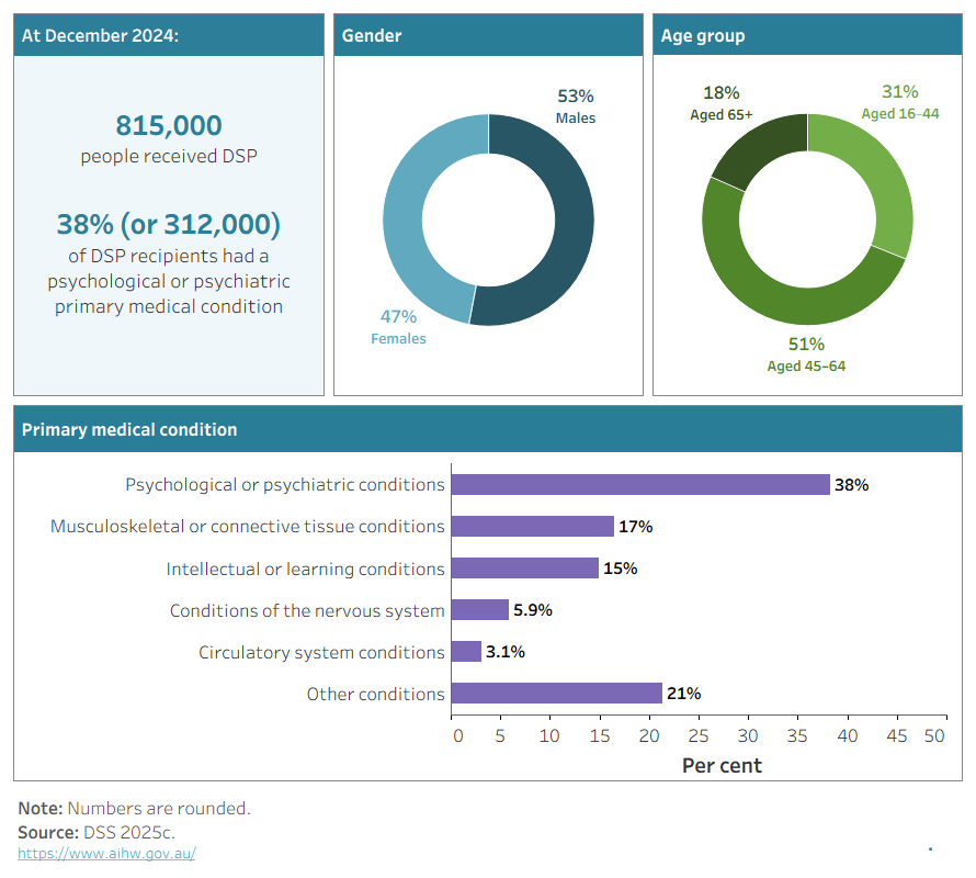 The figure shows selected facts about DSP recipients, including the total number (around 815,000 in December 2024), age and sex distribution, and primary disability type.