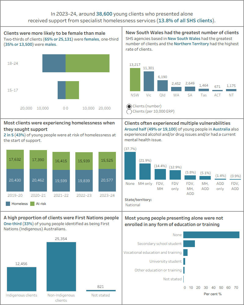 Dashboard shows the number of young clients by sex, by states and territories, by vulnerabilities, by Indigenous status, and by living arrangements.