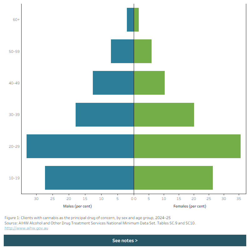 Butterfly chart shows the disaggregation of male and female clients with cannabis as the principal drug of concern by age group in 2024–25.