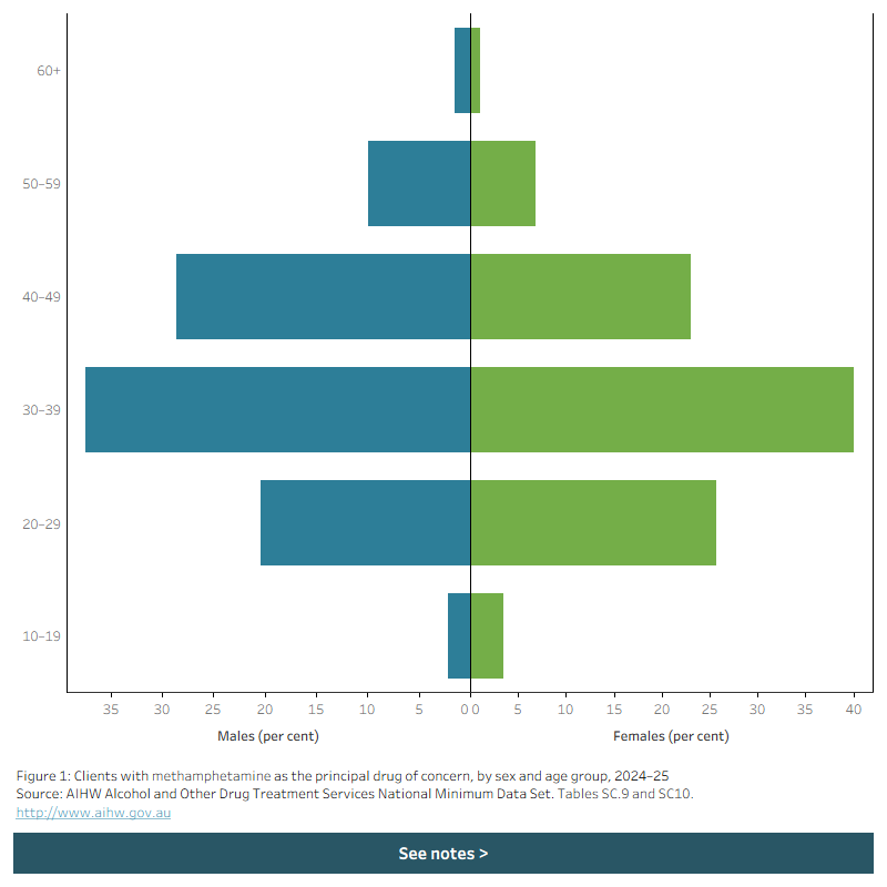 Butterfly chart shows the disaggregation of male and female clients receiving treatment for methamphetamine as the principal drug of concern by age group in 2024–25.