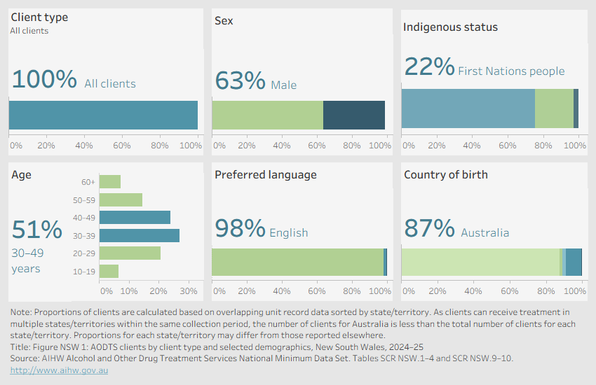 Visualisation shows a series of horizontal bar graphs showing disaggregation’s by client type, sex, indigenous status, age, preferred language, and country of birth in New South Wales in 2024–25.