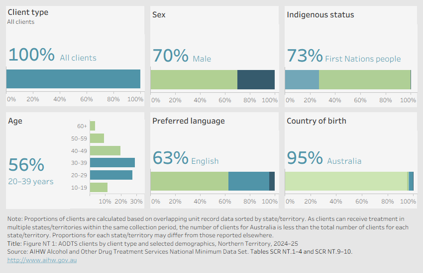 Visualisation shows a series of horizontal bar graphs showing disaggregation’s by client type, sex, indigenous status, age, preferred language, and country of birth in the Northern Territory in 2024–25.