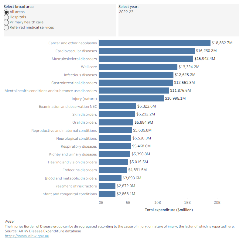 This bar graph ranks diseases and injury groups by broad areas of expenditure for each year. The highest spending, of the burden of disease groups was for cancer, followed by cardiovascular diseases and musculoskeletal disorders in most years.