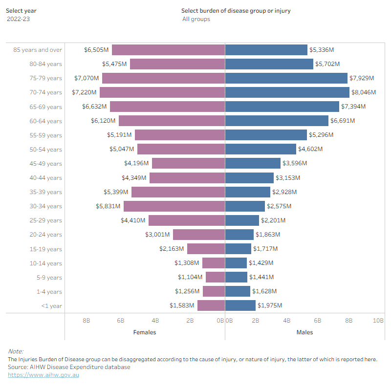 This butterfly bar chart illustrates the distribution of spending across age groups and sexes for disease groups over a ten-year period. A consistent trend shows that spending for males peaks in the older age groups, particularly between 65 and 74 years. In contrast, female spending is notably high in the 30–34 age group, with another peak occurring between 65 and 74 years.