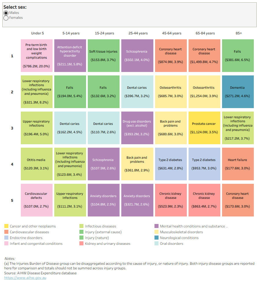 This visualization provides the 5 conditions for which spending is highest for males and females by broad age group. For 85 years and over, spending is the highest for injuries from falls followed by dementia for both males and females.
