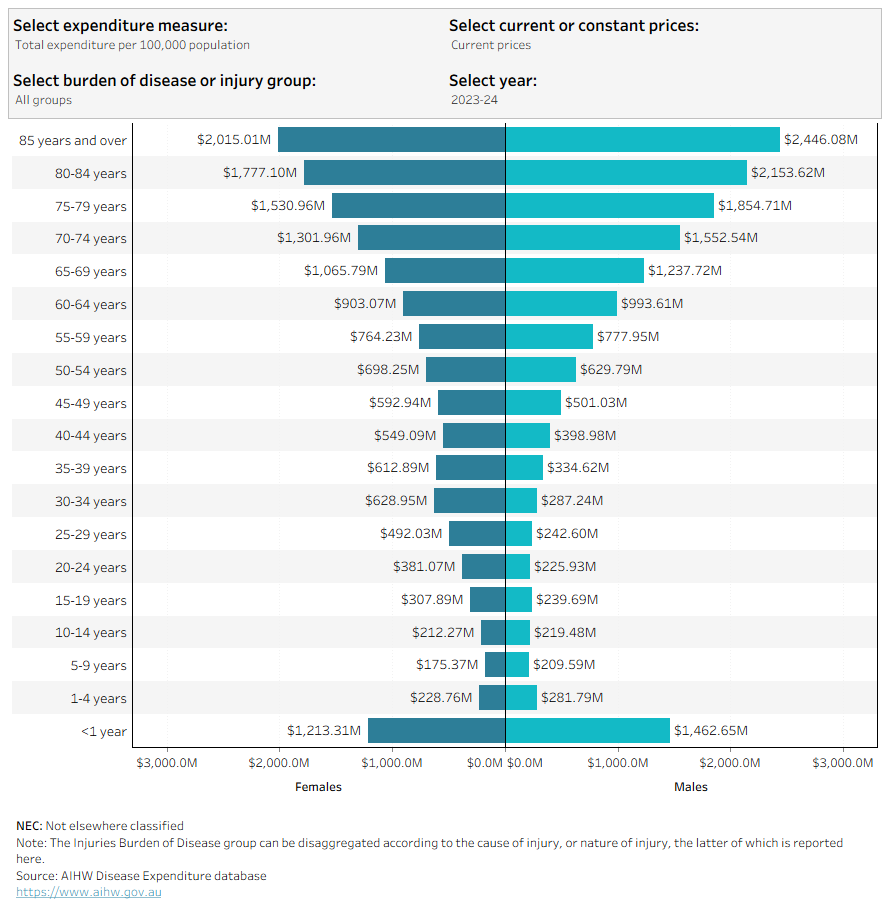 This butterfly bar chart illustrates the distribution of spending across age groups and sexes for disease groups over a ten-year period. A consistent trend shows that spending increases for males with age and peaks between 70 and 79 years. In contrast, female spending is notably high in the 30–34 age group, with another peak occurring between 70 and 79 years.