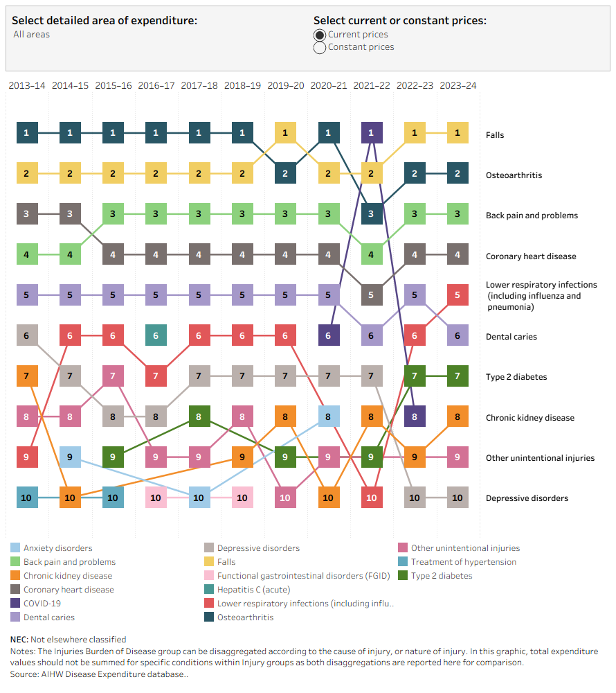 This chart ranks the 10 burden of disease conditions with the highest spending by area of expenditure over the time series 2013-14 to 2023-24. In 2023-24, the highest spending, was for falls.