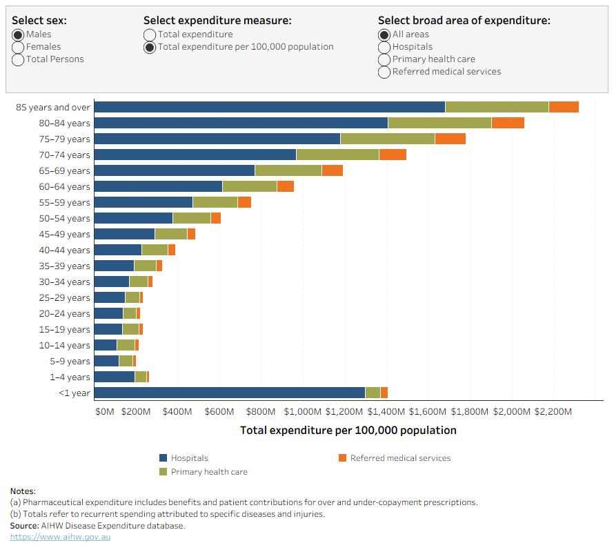 The bar chart shows total disease spending by sex and age group across broad and detailed areas of expenditure in total expenditure and expenditure per 100,000 population. The highest share of spending tends to be within hospitals.