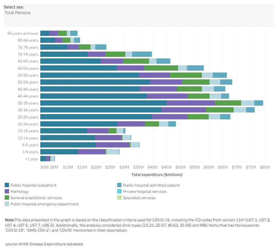 This visualisation has COVID-19 spending by detailed area of expenditure, sex and age group in 2020–21. 