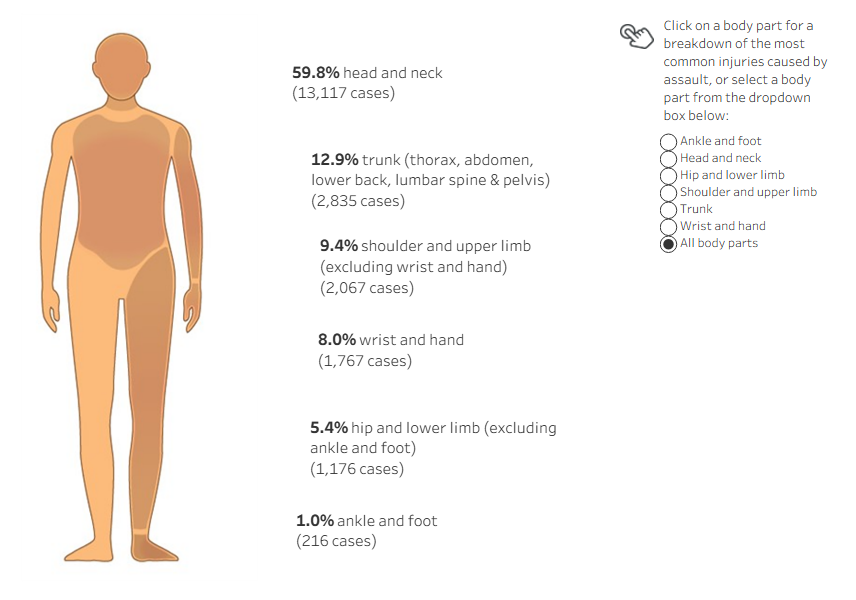 Interactive visualisation of body part and type of injury