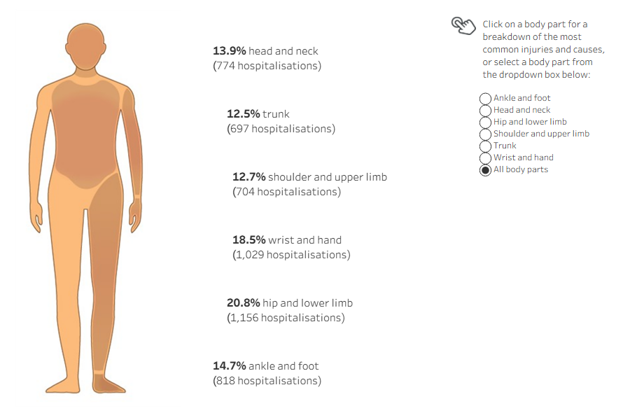 An interactive tableau visualisation showing human figure with injury hospitalisation data for each body part. The hip and lower limb reported the highest number of injury cases.