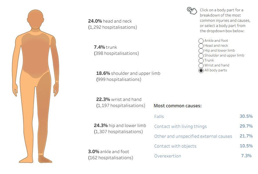 Diagram of human body shows percentage of body parts injured in hospitalisations in 2024–25, including injury types and causes.